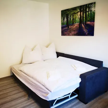 Apartment Urlaubsdomizil In - Harz *